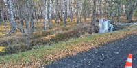 Убила скорость и береза: житель Нижневартовска насмерть разбился под Тюменью - Комсомольская правда