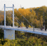 Мэр Оренбурга сравнил Зауральную рощу с золотом - Газета Оренбуржье