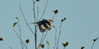 Картинка - Regions.Ru