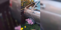 Жители Лисок сняли на видео последствия ДТП с въехавшим в забор авто - ГТРК Воронеж