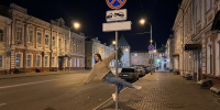Молодых астраханцев отправили под арест за деструктивные танцы у дорожного знака - Punkt-a.info