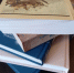 В Комсомольске появился книговорот - Известно.ру