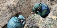 В Тверской области подняты останки 19 человек, убитых нацистами в 1941 году - Комсомольская Правда