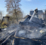 За сутки в Ленобласти тушили 11 пожаров - и спасли собаку - SyasNews.Ru