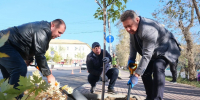 Администрация Астрахани готовит тенистый маршрут: улицы города одевают в клены и липы - Punkt-a.info