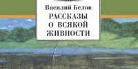 Cpr_YghcUC9WklQB7O2G6MZtGS5J6OsDe33TiT1cmP2sLoyzwAMN9vOTKl7ZaSKGcVhD9MGRzFMOi7w3UFF8ixLz.jpg - ЦБС для детей им. Н. Островского