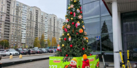 Новогоднее оформление начало появляться на улицах Петербурга - Петербургский дневник