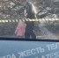 На улице Максима Горького в Туле упавшее дерево повредило два автомобиля - ИА Тульская служба новостей