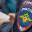 Дачников в Петербурге попросили с вещами. На месте огородов вырастет кампус МВД - 47 новостей