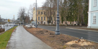 Набережную реки Вологды украсят более 80 деревьев - Вологда.РФ