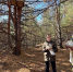 соколы.jpg - OnlineTambov.Ru