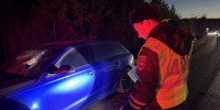 Водитель Audi насмерть сбил пешехода в Березовском - КП Екатеринбург