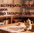«Стрессыз татарча сөйләшәбез» - Кунакларны курыкмыйча каршы алырга өйрәнәбез - Волжская новь