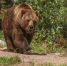 Фото: https://www.magnific.com (автор: wirestock) - News29.Ru
