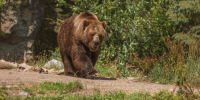 Фото: https://www.magnific.com (автор: wirestock) - News29.Ru