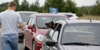 Фото: Андрей Кокшаров - InformPskov.Ru