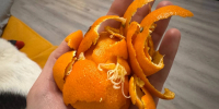 Мандариновые корки в ноябре не выбрасываю: к декабрю делаю ароматизатор — дома пахнет Новым годом - Prochepetsk.ru