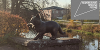 Кот украсил мост в Новой Ладоге - ВолховСМИ
