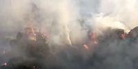 В Приамурье вспыхнула телега с сеном - ИА Порт Амур