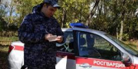Росгвардия отчиталась о громких задержаниях в Мордовии - Pg13.Ru