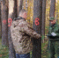 Картинка - Regions.Ru