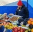 Продовольственная ярмарка в краевой столице / Фото: мэрия Барнаула - ИА Амител