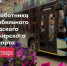 «Ровных дорог и безаварийных рейсов»: глава Мурманска поздравил работников транспорта - Вечерний Мурманск