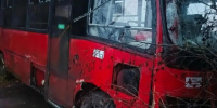 Пассажирский автобус в Ленобласти съехал в кювет, начата проверка - Петербургский дневник