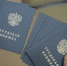 Студентам Мурманской области напомнили о трудовых льготах - КП Мурманск