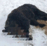 image - GazetaRB.Ru