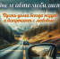 Уважаемые работники автомобильного и городского пассажирского транспорта! - Город Абаза