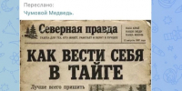 ЦИФРОВОЙ ЭТИКЕТ - Газета Емельяновские веси
