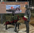 В Ярославле установили новый памятник | Источник: читатель 76.RU - 76.Ru