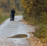 Картинка - Regions.Ru