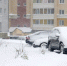 Метель. Фото из архива IRK.ru - Irk.Ru