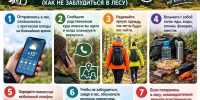 Жителям Башкирии рассказали, как безопасно сходить за грибами - Сетевое издание Республика Башкортостан