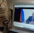 Спасают жизни и развивают железную дорогу: кого в Челябинской области наградил Владимир Путин - Pchela.News