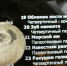 Морской ёж - Копейский рабочий