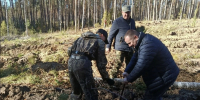 Нижегородские спасатели высадили 10 000 деревьев в Михайловском лесничестве - ProGorodNN.Ru