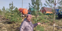 В Нурлате высадили 200 хвойных деревьев - Нурлат-⁠информ