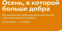 От простой инициативы — к большому делу: «Осенняя неделя добра» пройдёт во Владимирской области - ГТРК Владимир