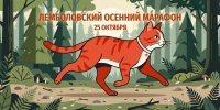 Во Всеволожском районе завершили беговой сезон «Осенним марафоном» - 47Channel.Ru