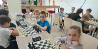 Дети из Волгоградской области выступили на межрегиональном шахматном турнире - Родной город Волгоград