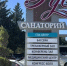 Здравница из Геленджика получила почти 5,6 млн рублей экономического эффекта от оптимизации сервиса бронирования - Газета Кубань Сегодня