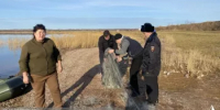 В Природном парке «Аслы-Куль» пресекли незаконный вылов рыбы сетями - Минэкологии РБ