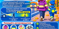 Изображение: Госавтоинспекция Псковской области - InformPskov.Ru