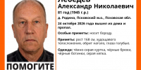 Изображение: «ЛизаАлерт. Псковская область» - InformPskov.Ru