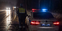 В Нижегородской области водитель сбил насмерть 16-летнего велосипедиста на ночной дороге - ProGorodNN.Ru