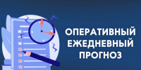 Оперативный ежедневный прогноз чрезвычайных ситуаций на территории Новосибирской области - Татарский район