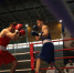 boxers 261026 25 - Газета Магаданская правда